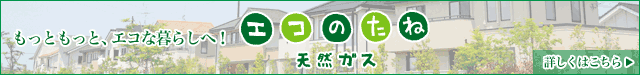 もっともっと、エコな暮らしへ！エコのたね天然ガス 詳しくはこちら