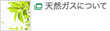 天然ガスについて