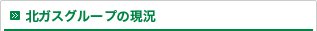 北ガスグループの現況