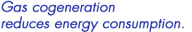 Gas cogeneration reduces energy consumption.