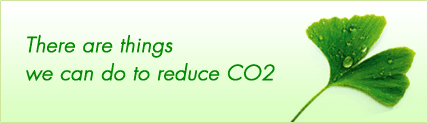 There are things we can do to reduce CO<sub>2</sub>