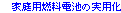 家庭用燃料電池の開発