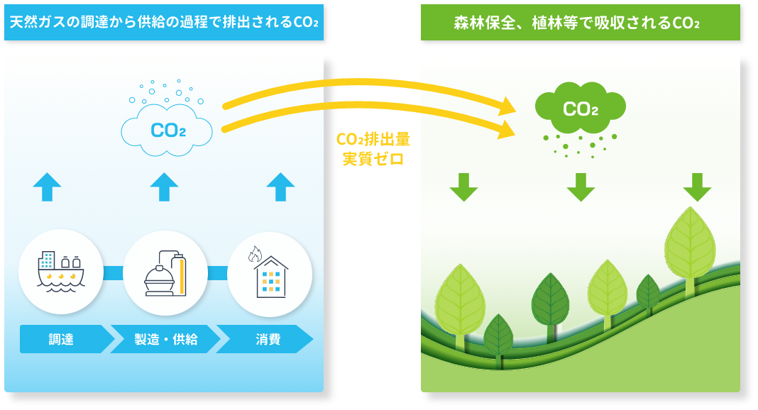 天然ガスの調達から供給の過程で排出されるCO₂ 森林保全、植林等で吸収されるCO₂