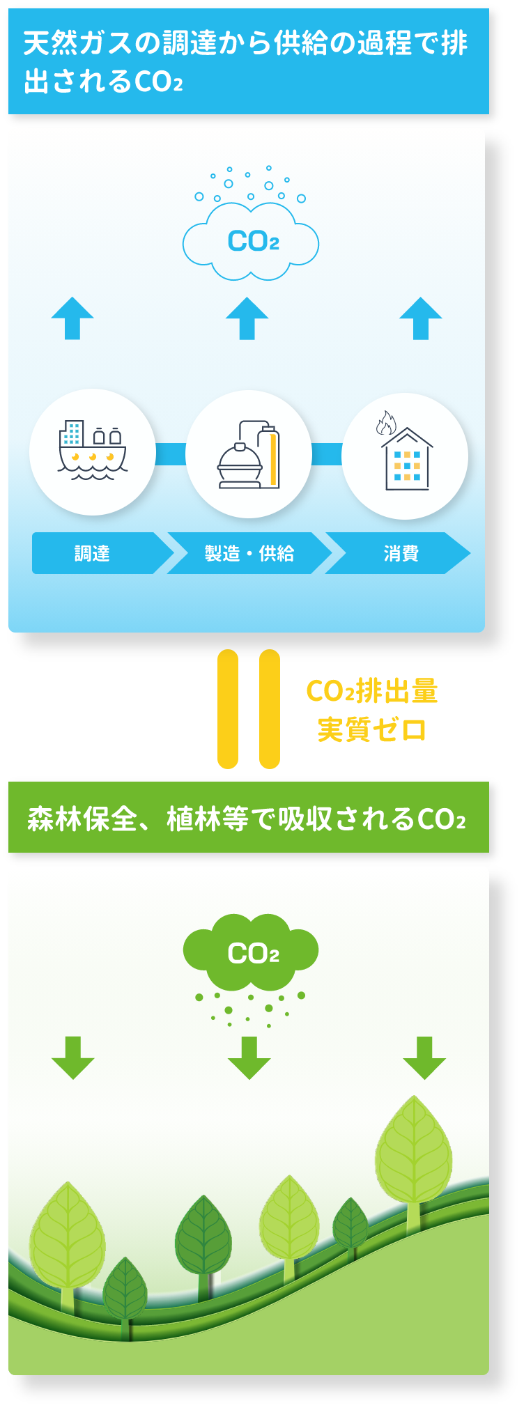 天然ガスの調達から供給の過程で排出されるCO₂ 森林保全、植林等で吸収されるCO₂